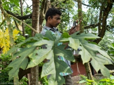 don-bosco-center-palluruthy-3